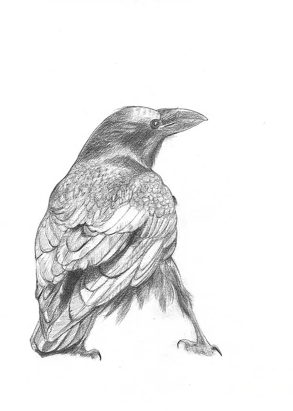 As the crow flies movie poster